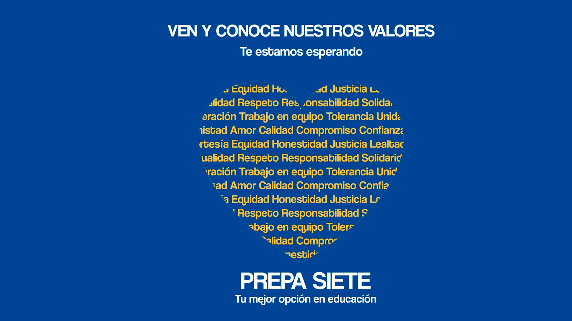 Conoce nuestros valores